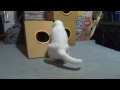 ボールを見事に取り出す白猫ユキ！ white cat yuki takes out ball wonderfully