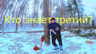 Клин STIHL и ДВА РАЗНЫХ СПОСОБА УСТАНОВКИ В УСЛОВИЯХ РЕАЛЬНОЙ РАБОТЫ В ЛЕСУ!!!