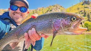 Trout Trolling: Spinner vs Fly