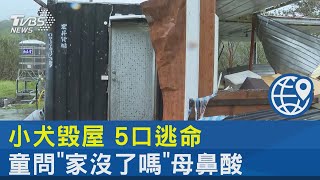 #獨家 小犬毀屋 5口逃命 童問「家沒了嗎」母鼻酸｜TVBS新聞 @internationalNewsplus