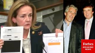 JUST IN: Dean Reads Notes Of Redacted Epstein File About Trump's Relationship With Epstein