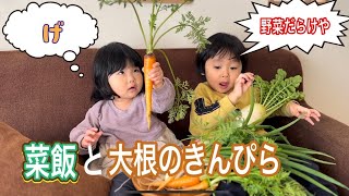 畑で採れた新鮮な大根と人参！野菜嫌いの子供達に大根のきんぴらと菜飯にネギ入り卵焼きを作ってみたら