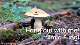 Appalachian Trail Ed-Venture: Hang Out With Me! I'm a Fungi.