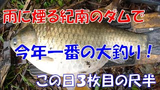 The biggest fishing of the year at the Kinan dam that smokes in the rain! [Gogawa Dam Edition 1]