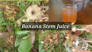 Banana Stem Juice | வாழைத்தண்டு ஜூஸ்| ಬಾಳೆ ದಂಡಿನ ಜ್ಯೂಸು