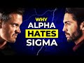 Why Alpha Males HATE Sigma Males So Much