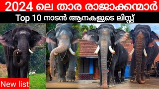 നാടൻ ആനകളിലെ താര രാജാക്കന്മാരായ 12 ആനകൾ| Top 10 elephants in kerala 2023| Top 10 elephants in kerala