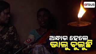 ଅନ୍ଧାର ହେଲେ ଭାଲୁ ବୁଲୁଛି