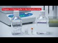 how to set up and run an invitrogen™ quantigene™ plex assay