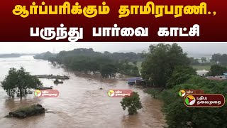 Live | ஆர்ப்பரிக்கும் தாமிரபரணி - பருந்து பார்வை காட்சி | Nellai | Tamirabarani