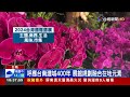 花卉結合科技創新 台灣國際蘭展台南登場