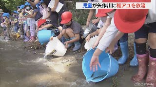 「大きくなって元気に泳いでほしい」 小学生らが稚アユ3000匹を矢作川に放流　愛知・豊田市(2022/6/7)