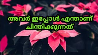 അവരുടെ മെസ്സേജ് എന്താണ് നിങ്ങൾക്ക് ആയിട്ട് ഉള്ള ⏳ Timeless reading