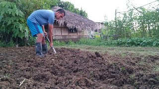 Pagbubungkal ng lupa para sa Pagtataniman ng mga gulay #farmlife #vegtables