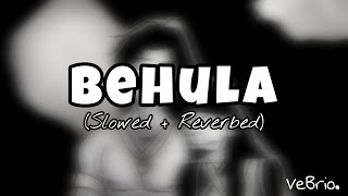 Behula (Slowed + Reverbed) | SHUNNO | VeBrio.