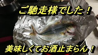 佐藤さん　ご馳走様でした！　かんぱち！ショゴ！　料理して大変美味しくいただきました！いわき市小名浜！