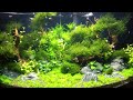 fluval 350 koi express steiermark