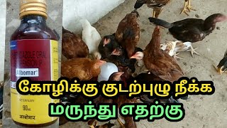 கோழி வயிற்றில் குடல்புழு நீக்க மருந்து | medicine to remove tape worm in Chicken