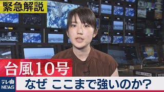 迫り来る台風10号、なぜこれほど発達するのか？警戒すべきポイントとは？気象予報士の牧田麻由子が深掘り解説！（2020年9月4日）