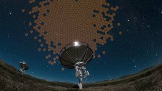 The Deep Synoptic Array Scans the Radio Sky