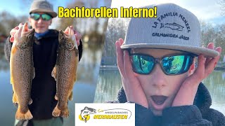 Bachforellen Inferno | Forellenangeln im Winter