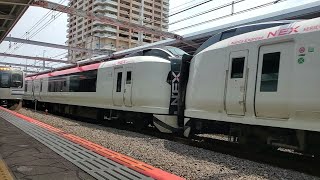 成田エクスプレス  爆音のジョイント音で市川駅を高速通過！！#成田エクスプレス#市川駅