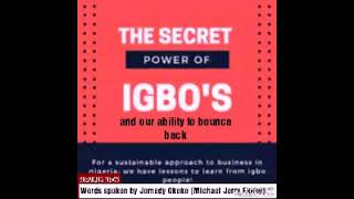 IGBOS AND THE NOW BIAFRA INDEPENDENCE STRUGGLE | Jemedy Okeke (Michael Jerry Ekene)