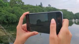 動画広告のサンプルムービー