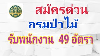 ด่วนกรมป่าไม้รับพนักงาน 49 อัตรา