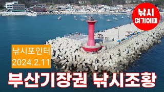 부산기장권 핫플 학꽁치.숭어낚시 조황 /부산기장권 낚시/이동방파제/방파제 생활낚시/테트라포드 낚시/낚멍 힐링영상/취미생활/대리만족/낚시여기어때/드론영상