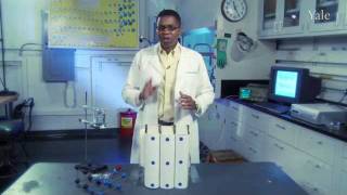 Material Marvels with Ainissa Ramirez - Shape Memory Alloys