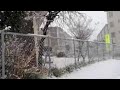 h25.1.14 横浜市緑区 雪①／⑤