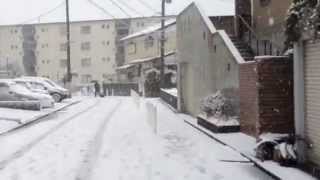 H25.1.14 横浜市緑区 雪①／⑤