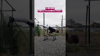 継続していれば必ず到達できるはず！ストラドルプランシェ#shorts #プランシェ #tatyworkout1975