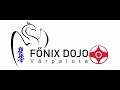 főnix dojo várpalota övvizsga 2018 február