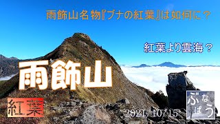 雨飾山　紅葉偵察に行ったら雲海がすごかった！（2021.10.15）