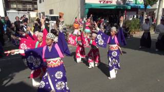 ほにや（豊橋パレカ2016）魚町ストリート