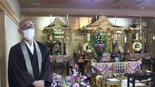 堺西栄寺　朝の法話 R4/4/18‎「人間の真理」