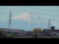 白鳥がやってきました　晩秋の芝川第一調節池と見沼自然公園の鳥たち　～見沼田んぼの風景２０２１～