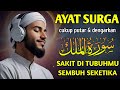 Ayat-Ayat Ruqyah Pengusir Penyakit dan Penyembuh Hati: Dengarkan & Rasakan Manfaatnya