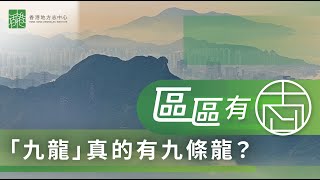 【區區有志】「九龍」真的有九條龍？