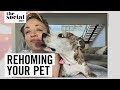 Kaley Cuoco Opens Up About Rehoming Her Dog | The Social