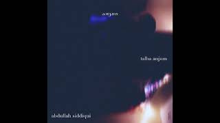 Abdullah Siddiqui & Talha Anjum - surface (Official Audio)