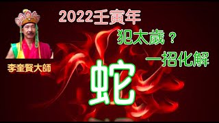 【八字轉運】2022年十二生肖運程，【蛇】★ 犯太歲．教一招化解 ★ 李奎賢大師教大家，12生肖催運之法 ．密賢寺。