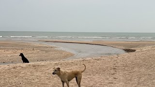 นันทิดา Larpong family er live! น้ำลงเดินเลาะชายหาดยามเย็น#หาดชะอำ#thailand