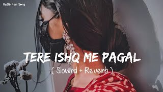 🎧Slowed and Reverb Songs | Tere Ishq Me Pagal | RAJIB 801