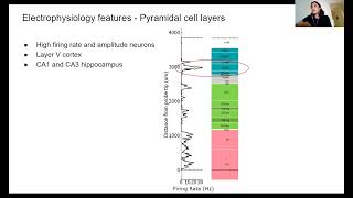 2021 Lecture 3.3 - Aligning Neuropixels tracks to an atlas - Mayo Faulkner (IBL)