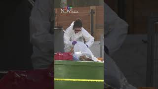 Mother of baby whose remains were found has died