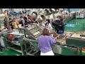 fully automatic french fries production line 2021joyshine