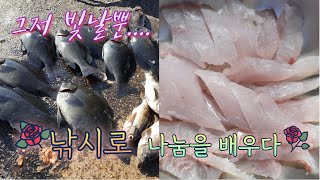 울진 후포방파제 낚시-낚시로 배려와 나눔을 배우다~^^